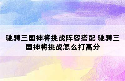 驰骋三国神将挑战阵容搭配 驰骋三国神将挑战怎么打高分